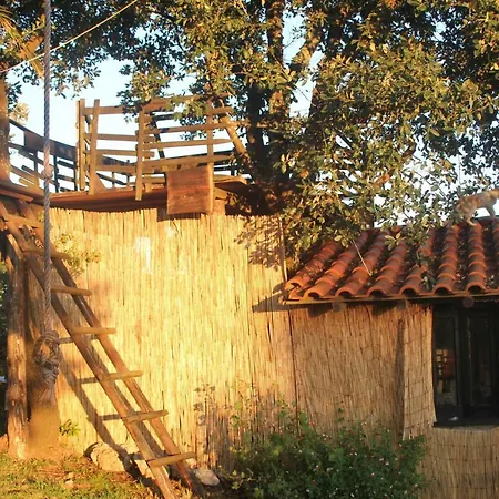 Casa Do Forno Country house